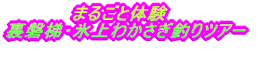 ܂邲Ƒ̌@ ֒EX킩ނcA[ ԂȂĂnjI}T[rXt 