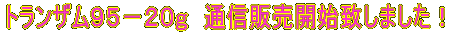 �g�����U���X�T�|�Q�O���@���\���t���J�n�������܂����I