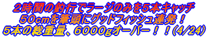 �Q�O�O�W�N�P�����{�X�^�[�g�I�I