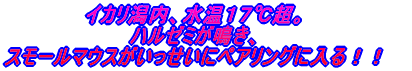 �Q�O�O�W�N�P�����{�X�^�[�g�I�I