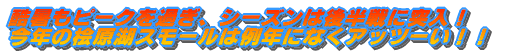 2010年7月11日(日)開催! どなたでも参加できるオープントーナメント 当日参加もOK! 夏だから早朝スタートでいきます!