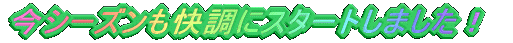 ���V�[�Y���������ɃX�^�[�g���܂����I