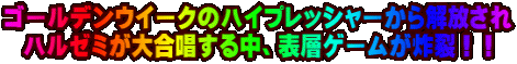 S[fEC[ÑnCvbV[ n[~升钆A\wQ[yII