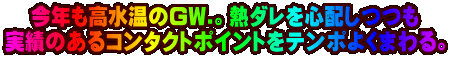 NGW.BM_Sz т̂R^Ng|Cge|悭܂B