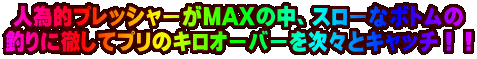 lדIvbV[MAX̒AX[ȃ{g ނɓOăṽLI[o[XƃLb`II
