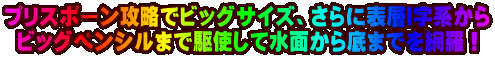 vX|[UŃrbOTCYAɕ\whn rbOyV܂ŋgĐʂ܂łԗI