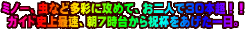 ~m[AȂǑʂɍU߂āAlłRO{II KChjőAV䂩jtB