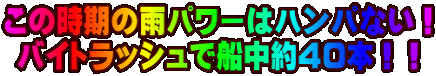 ̎̉Jp[̓npȂI oCgbVőDSO{II
