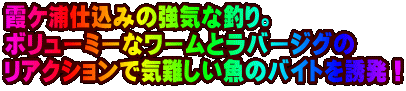 PYd݂̋CȒނB {[~[ȃ[ƃo[WO ANVŋC̃oCgUI