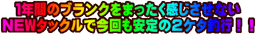 PNԂ̃uN܂Ȃ NEW^bNō̂QP^ލsII