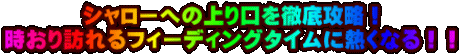 �V�����[�ւ̏�����O��U���I ������K���t�B�[�f�B���O�^�C���ɔM���Ȃ�I�I