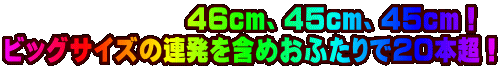 �@�@�@�@�@�@�@�S�Ucm�A�S�Tcm�A�S�Tcm�I �r�b�O�T�C�Y�̘A�����܂߂��ӂ���łQ�O�{���I