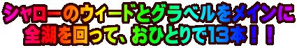 �V�����[�̃E�B�[�h�ƃO���x�������C���� �S�΂�����āA���ЂƂ�łP�R�{�I�I