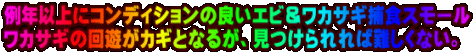 ��N�ȏ�ɃR���f�B�V�����̗ǂ��G�r�����J�T�M�ߐH�X���[�� ���J�T�M�̉�V���J�M�ƂȂ邪�A��������Γ���Ȃ��B