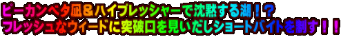 �s�[�J���x�^�⁕�n�C�v���b�V���[�Œ��ق���΁I�H �t���b�V���ȃE�B�[�h�ɓ˔j�������������V���[�g�o�C�g�𐧂��I�I