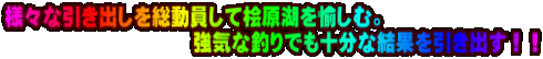 �l�X�Ȉ����o���𑍓������ĕO���΂�����ށB �@�@�@�@�@�@�@�@�@�@���C�Ȓނ�ł��\���Ȍ��ʂ������o���I�I