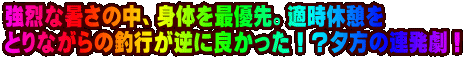 ����ȏ����̒��A�g�̂��ŗD��B�K���x�e�� �Ƃ�Ȃ���̒ލs���t�ɗǂ������I�H�[���̘A�����I