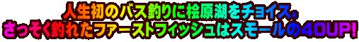 �l�����̃o�X�ނ�ɕO���΂��`���C�X�B ���������ނꂽ�t�@�[�X�g�t�B�b�V���̓X���[���̂S�OUP!