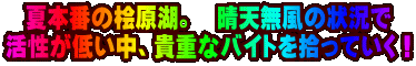 �Ė{�Ԃ̕O���΁B�@���V�����̏󋵂� �������Ⴂ���A�M�d�ȃo�C�g���E���Ă����I