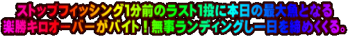 �X�g�b�v�t�B�b�V���O�P���O�̃��X�g�P���ɖ{���̍ő勛�ƂȂ� �y���L���I�[�o�[���o�C�g�I���������f�B���O���������߂�����B