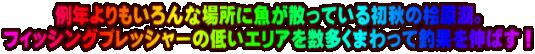 ��N���������ȏꏊ�ɋ����U���Ă��鏉�H�̕O���΁B �t�B�b�V���O�v���b�V���[�̒Ⴂ�G���A�𐔑����܂���Ēމʂ�L�΂��I