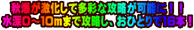 �H�����������đ��ʂȍU�����\�ɁI�I ���[�O�`�P�O���܂ōU�����A���ЂƂ�łP�U�{�I