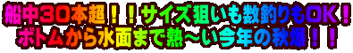 �D���R�O�{���I�I�T�C�Y�_�������ނ���n�j�I �{�g�����琅�ʂ܂ŔM�`�����N�̏H���I�I