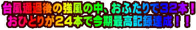�䕗�ʉߌ�̋����̒��A���ӂ���łR�Q�{�I ���ЂƂ肪�Q�S�{�ō����ō��L�^�B���I�I