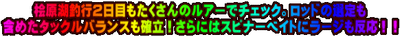�O���Βލs�Q���ڂ���������̃��A�[�Ń`�F�b�N�B���b�h�̑I��� �܂߂��^�b�N���o�����X���m���I����ɂ̓X�s�i�[�x�C�g�Ƀ��[�W�������I�I
