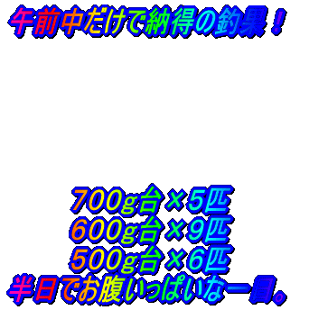 大雨の中、絶えないバイト 船中30本超の数釣りモード!