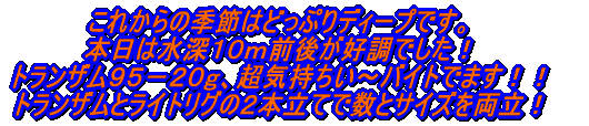 大雨の中、絶えないバイト 船中30本超の数釣りモード!