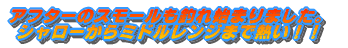 n[~n߂܂I oX̃X|[jOn܂܂I }ȋCE㏸Ő sp^[͗N݂̎ ǂ܂II 