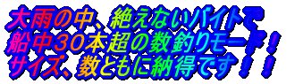 大雨の中、絶えないバイト 船中30本超の数釣りモード!