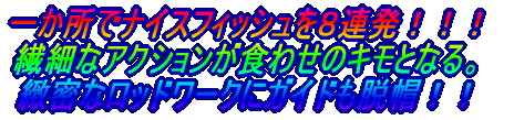 大雨の中、絶えないバイト 船中30本超の数釣りモード!