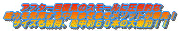 n[~n߂܂I oX̃X|[jOn܂܂I }ȋCE㏸Ő sp^[͗N݂̎ ǂ܂II 