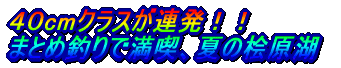 元気です! 桧原湖