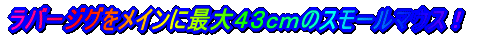 ���o�[�W�O�����C���ɍő�S�R�����̃X���[���}�E�X�I