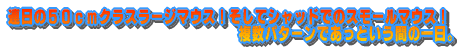 �n���[�~�����n�߂܂����I �o�X�̃X�|�[�j���O���n�܂�܂����I �}���ȋC���E�����㏸�Ő����������� �s���p�^�[���͗�N���݂̎����� �ǂ����܂����I�I 