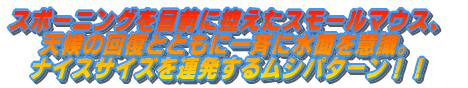 �n���[�~�����n�߂܂����I �o�X�̃X�|�[�j���O���n�܂�܂����I �}���ȋC���E�����㏸�Ő����������� �s���p�^�[���͗�N���݂̎����� �ǂ����܂����I�I 